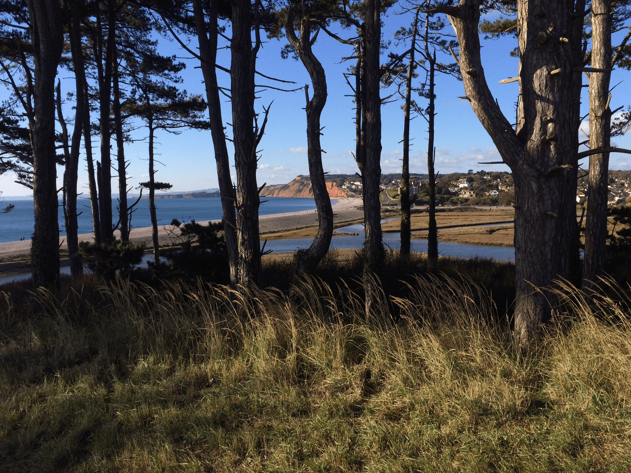 Budleigh Salterton, nearing the end of the 100 km run